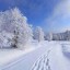 瑞雪丰年